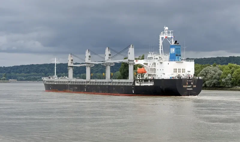 ELEGANT SW Bulk Carrier IMO 9450167 photo 5