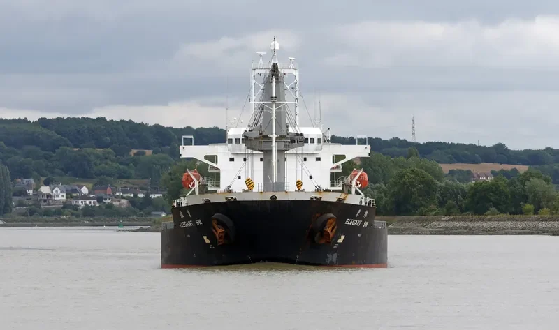 ELEGANT SW Bulk Carrier IMO 9450167 photo 6