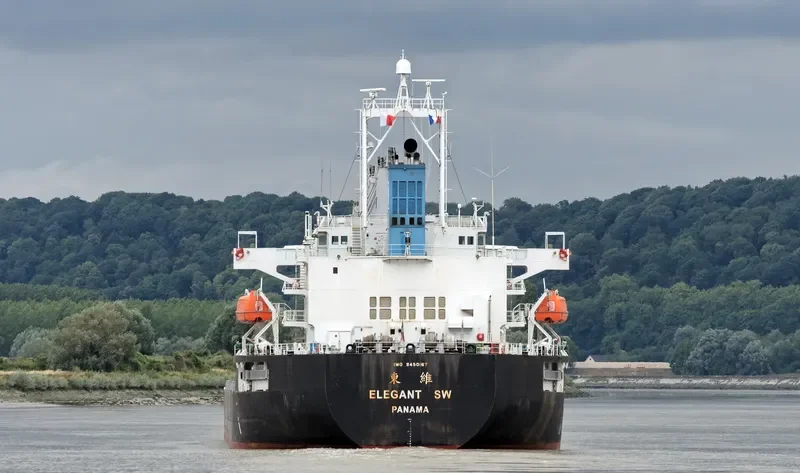 ELEGANT SW Bulk Carrier IMO 9450167 photo 7