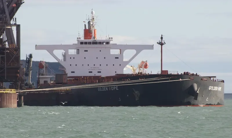 WINNING PRIDE Bulk Carrier IMO 9450234 photo 3