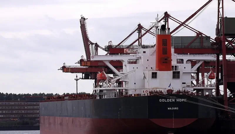 WINNING PRIDE Bulk Carrier IMO 9450234 photo 5
