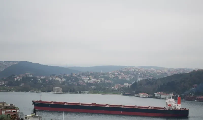 WINNING PRIDE Bulk Carrier IMO 9450234 photo 9