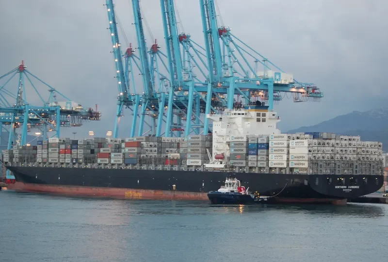 NORTHERN JAMBOREE Container Ship IMO 9450363 photo 6