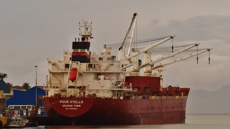 FOUR OTELLO Bulk Carrier IMO 9450662 photo 2