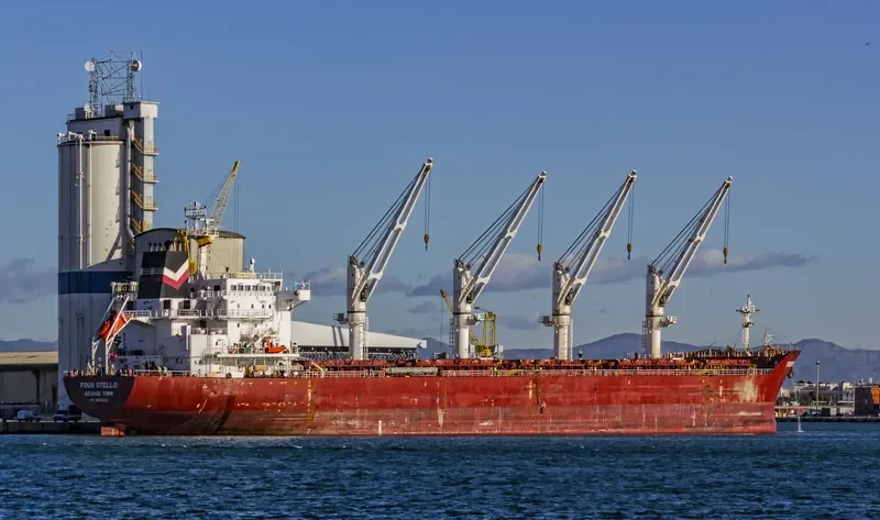 FOUR OTELLO Bulk Carrier IMO 9450662 photo 6