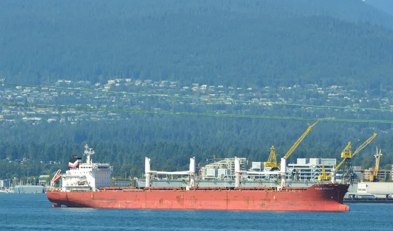 FOUR OTELLO Bulk Carrier IMO 9450662 photo 10