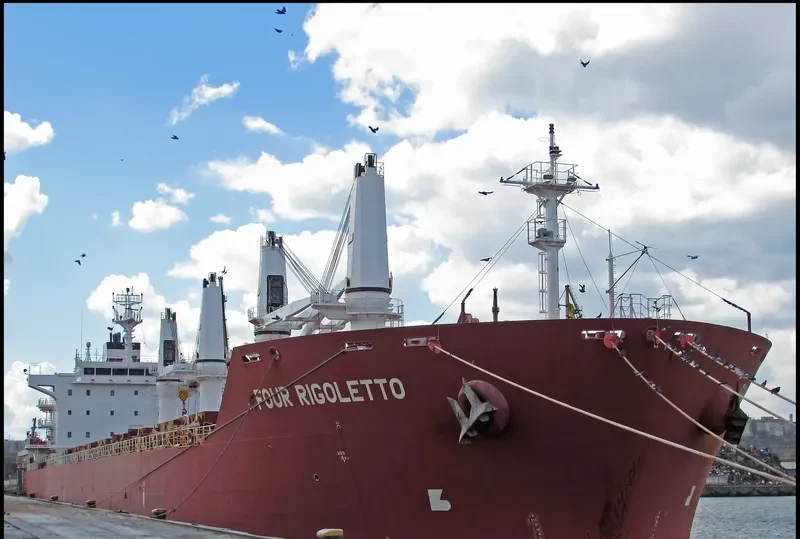 FOUR RIGOLETTO Bulk Carrier IMO 9450674 photo 10