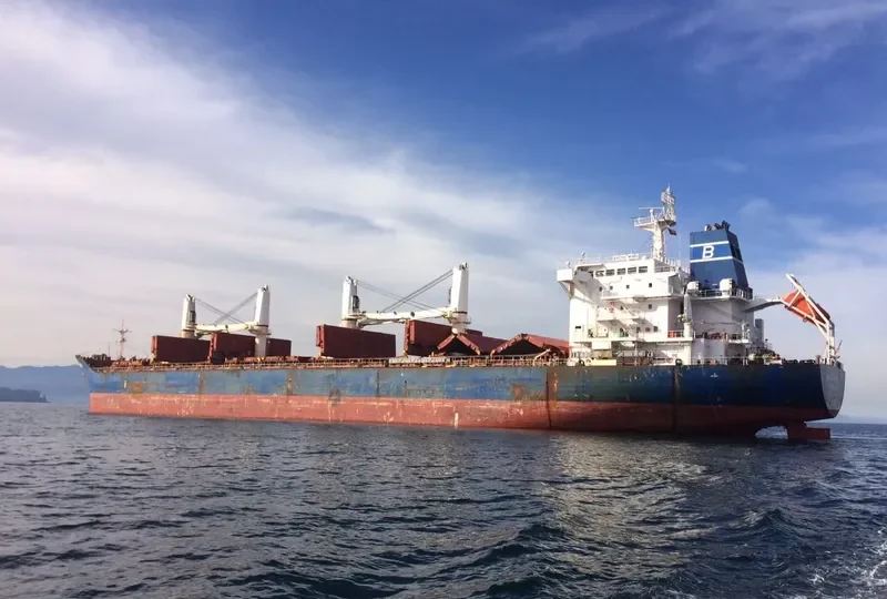 BALTIC WIND Bulk Carrier IMO 9450703 photo 5