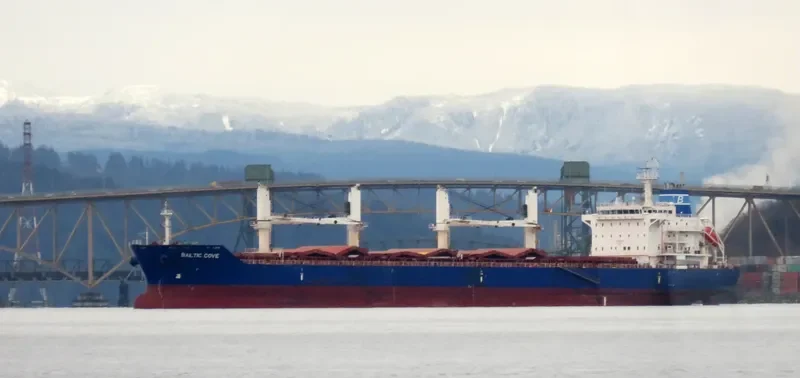 MONTEGO BAY Bulk Carrier IMO 9450727 photo 5