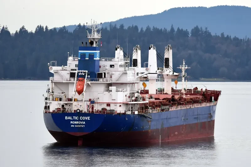 MONTEGO BAY Bulk Carrier IMO 9450727 photo 6