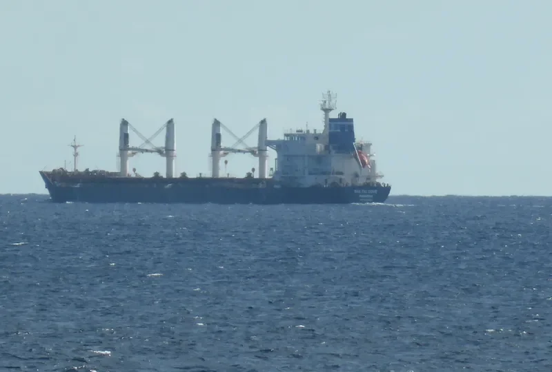 MONTEGO BAY Bulk Carrier IMO 9450727 photo 9