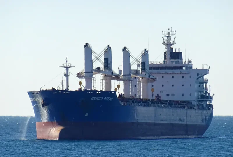 MAPUTO Bulk Carrier IMO 9450739 photo 4