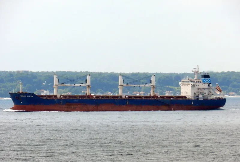 MAPUTO Bulk Carrier IMO 9450739 photo 8