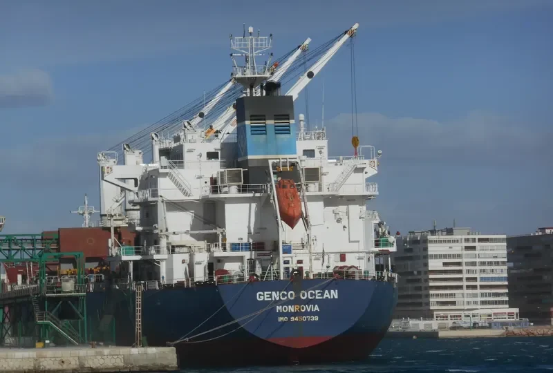 MAPUTO Bulk Carrier IMO 9450739 photo 10