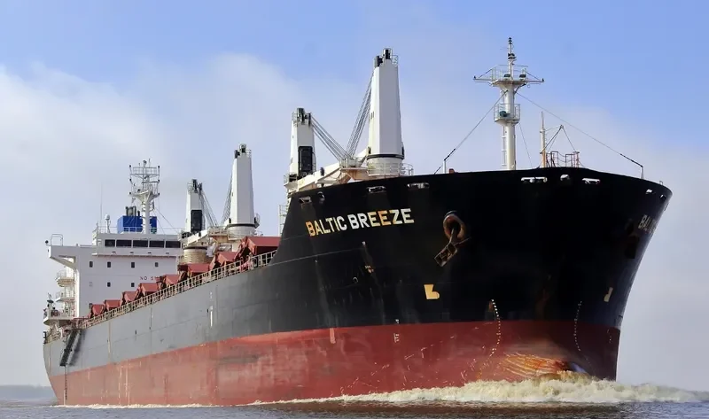 GARNET Bulk Carrier IMO 9450741 photo 4