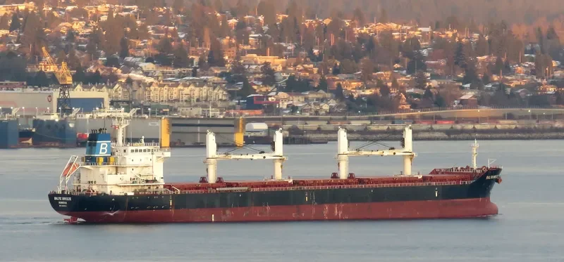 GARNET Bulk Carrier IMO 9450741 photo 7