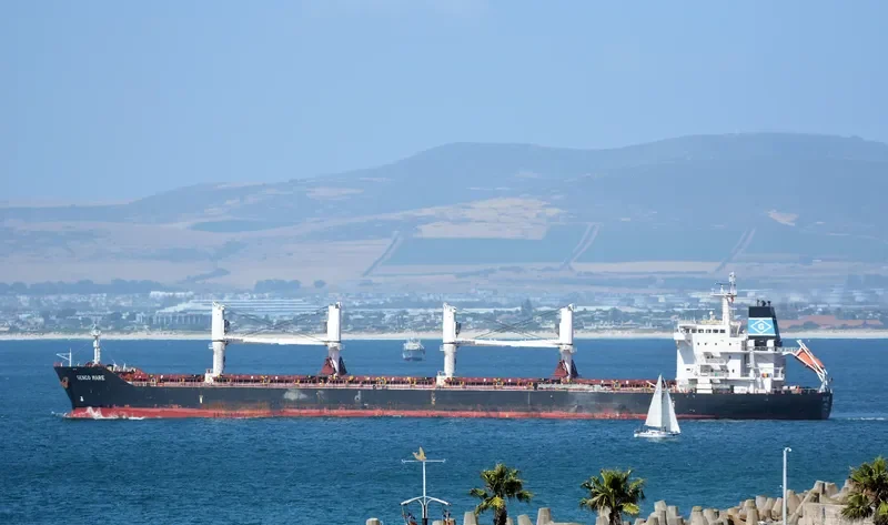 MOBILE Bulk Carrier IMO 9450765 photo 8