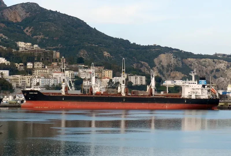 MOBILE Bulk Carrier IMO 9450765 photo 10