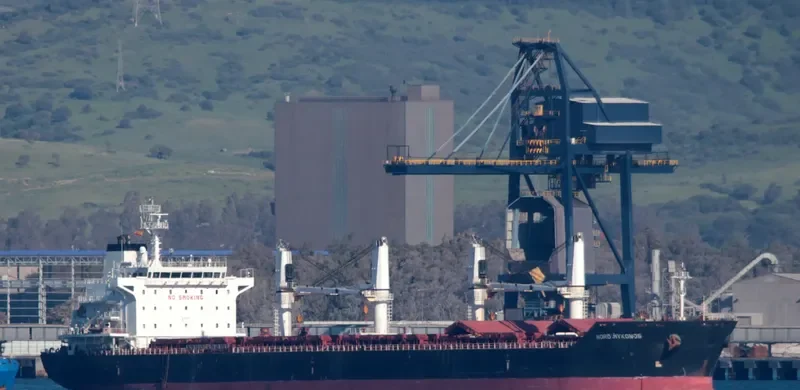 MYKONOS Bulk Carrier IMO 9450791 photo 3