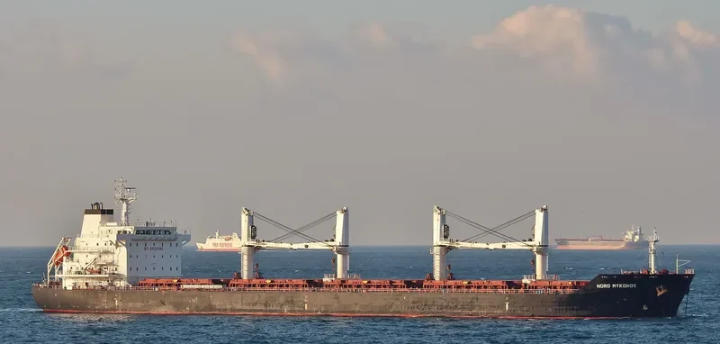 MYKONOS Bulk Carrier IMO 9450791 photo 4