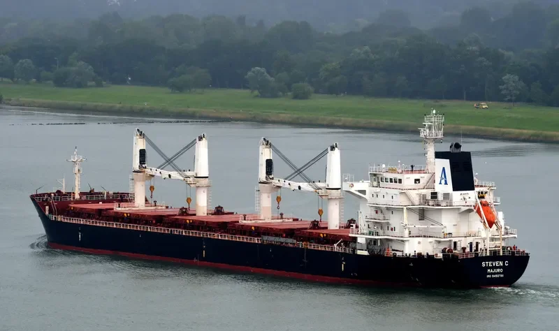 MYKONOS Bulk Carrier IMO 9450791 photo 7