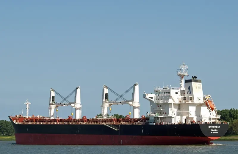 MYKONOS Bulk Carrier IMO 9450791 photo 9