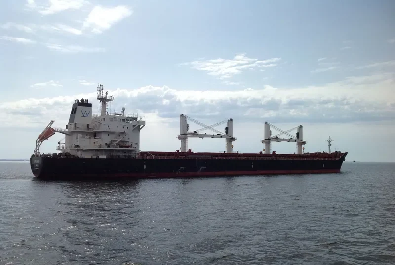 LONGSHORE Bulk Carrier IMO 9450806 photo 3
