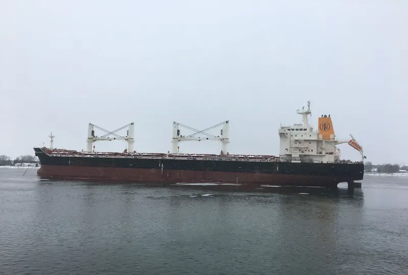 MANZANILLO Bulk Carrier IMO 9450818
