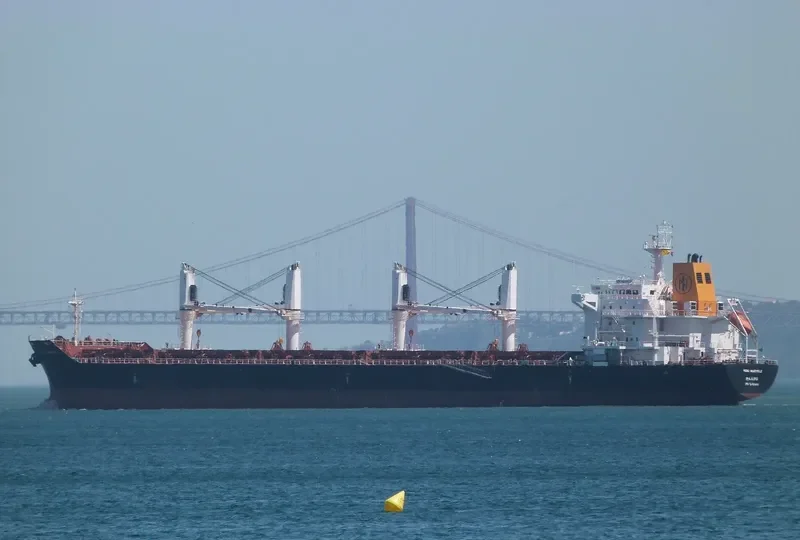 MANZANILLO Bulk Carrier IMO 9450818 photo 2
