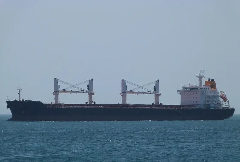 MANZANILLO Bulk Carrier IMO 9450818 photo 3