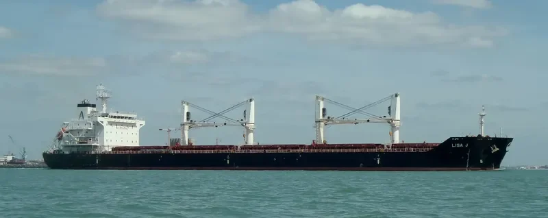 MANZANILLO Bulk Carrier IMO 9450818 photo 5