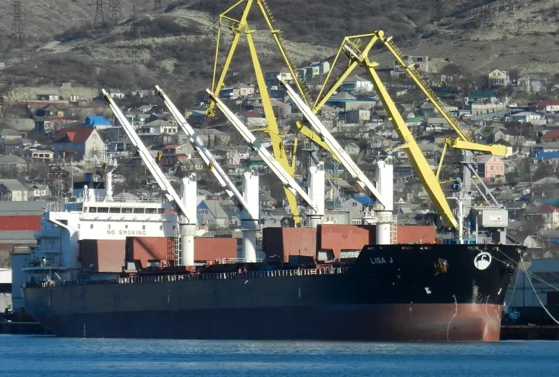 MANZANILLO Bulk Carrier IMO 9450818 photo 6