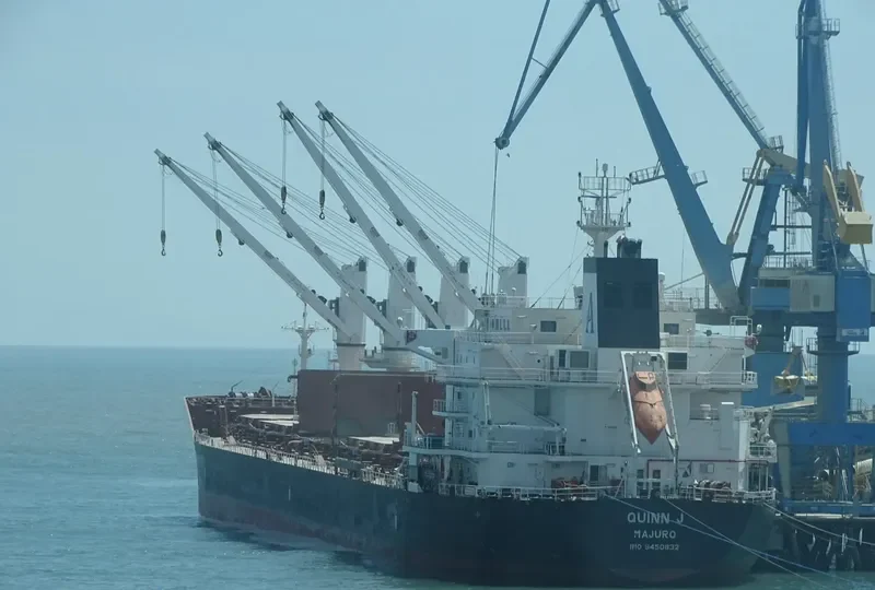 MANZANILLO Bulk Carrier IMO 9450818 photo 10