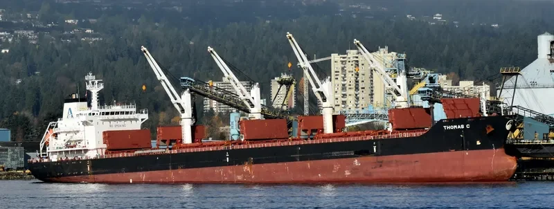 THOMAS C Bulk Carrier IMO 9450820 photo 2