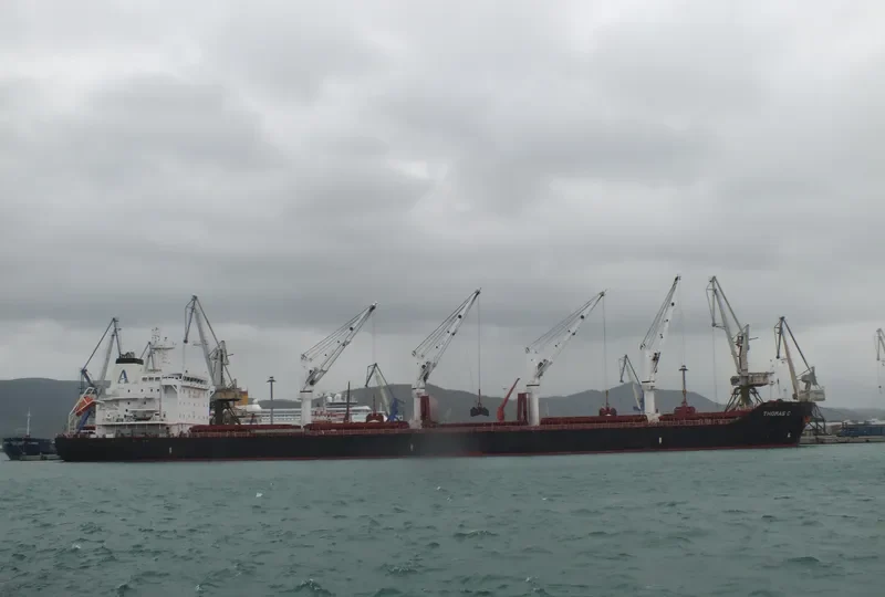 THOMAS C Bulk Carrier IMO 9450820 photo 6