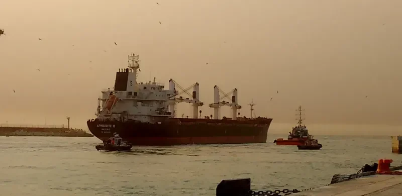 APHRODITE M Bulk Carrier IMO 9450832 photo 2