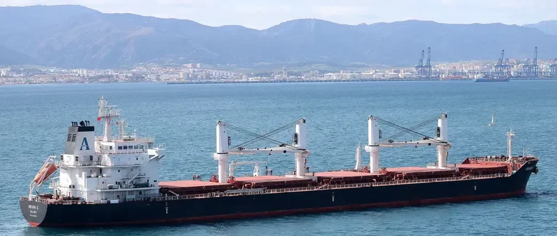 ORIANA C Bulk Carrier IMO 9450844 photo 7