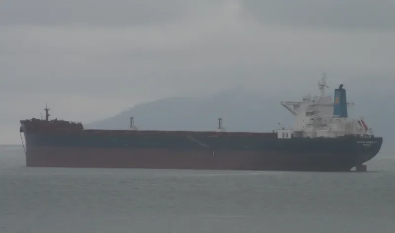CAPTAIN VANGELIS L Bulk Carrier IMO 9450868 photo 10