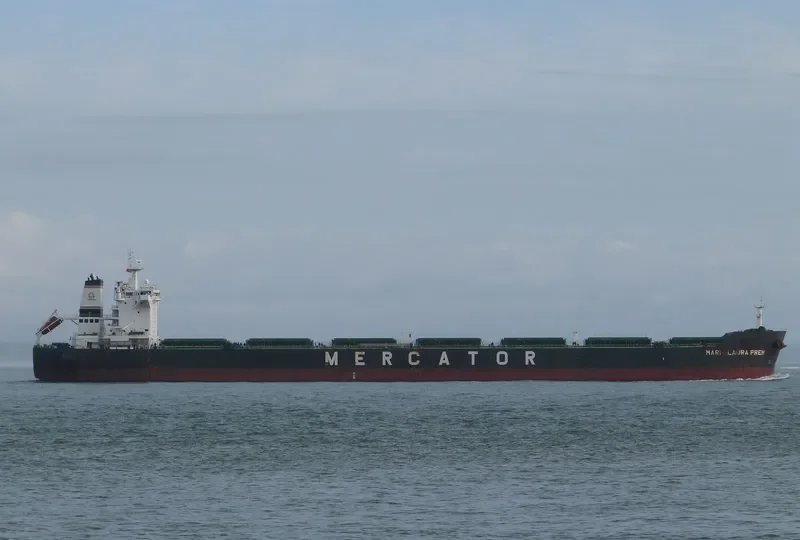 STAR DESPOINA Bulk Carrier IMO 9450894 photo 5