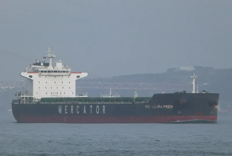 STAR DESPOINA Bulk Carrier IMO 9450894 photo 6