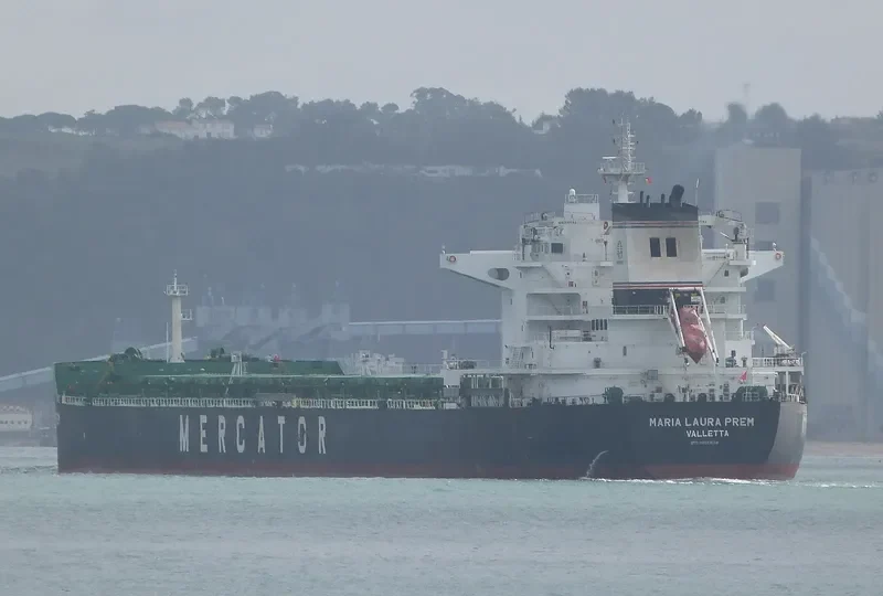 STAR DESPOINA Bulk Carrier IMO 9450894 photo 7