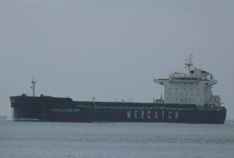 STAR DESPOINA Bulk Carrier IMO 9450894 photo 8
