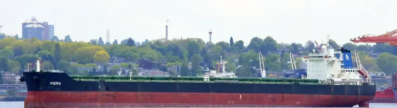 STAR PIERA Bulk Carrier IMO 9450909 photo 4