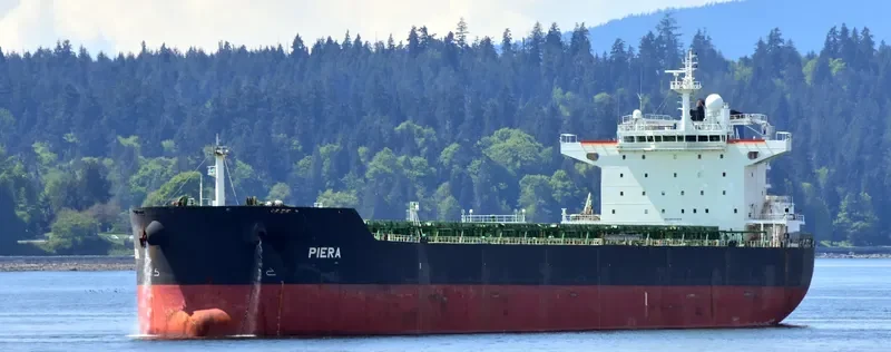 STAR PIERA Bulk Carrier IMO 9450909 photo 6