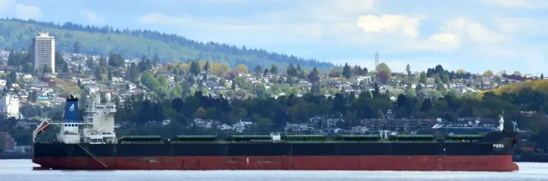 STAR PIERA Bulk Carrier IMO 9450909 photo 7