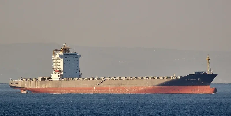 REN JIAN 17 Container Ship IMO 9450923