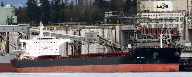 ANGLO ALEXANDRIA Bulk Carrier IMO 9451044 photo 4