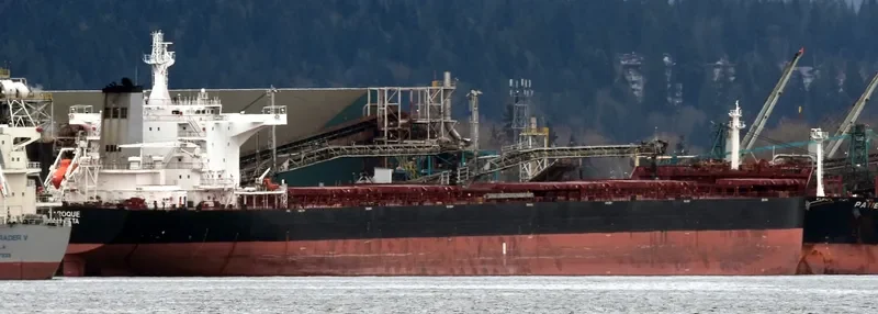 ANGLO ALEXANDRIA Bulk Carrier IMO 9451044 photo 5