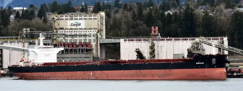 ANGLO ALEXANDRIA Bulk Carrier IMO 9451044 photo 6