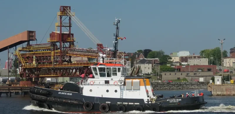 ATLANTIC BEAR General Cargo IMO 9451147 photo 3